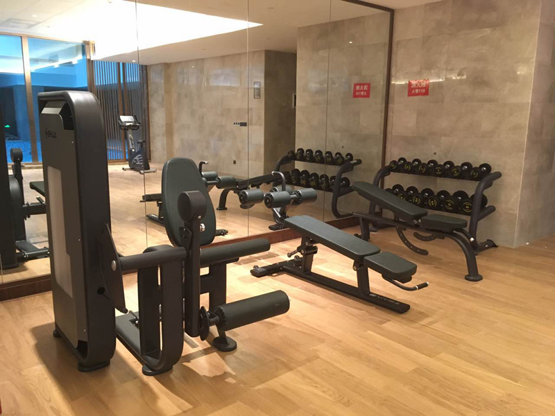 酒店健身房器材,室内健身器材,高端商用健身器材-广西米兰·(milan)中国健身器材有限公司