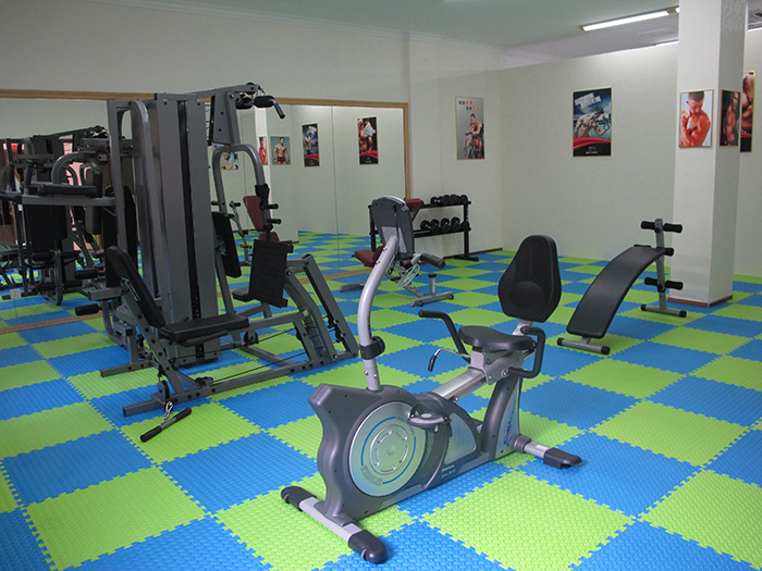 室内健身器材,单位健身器材,健身器材十大品牌-广西米兰·(milan)中国健身器材有限公司