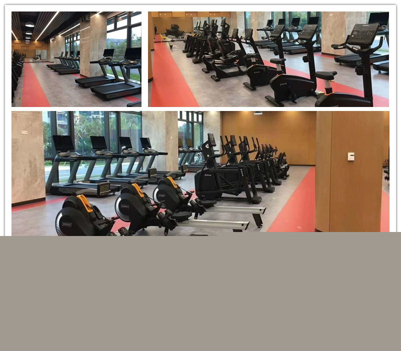 室内健身器材-单位健身房器材 室内健身器材-单位健身房器材